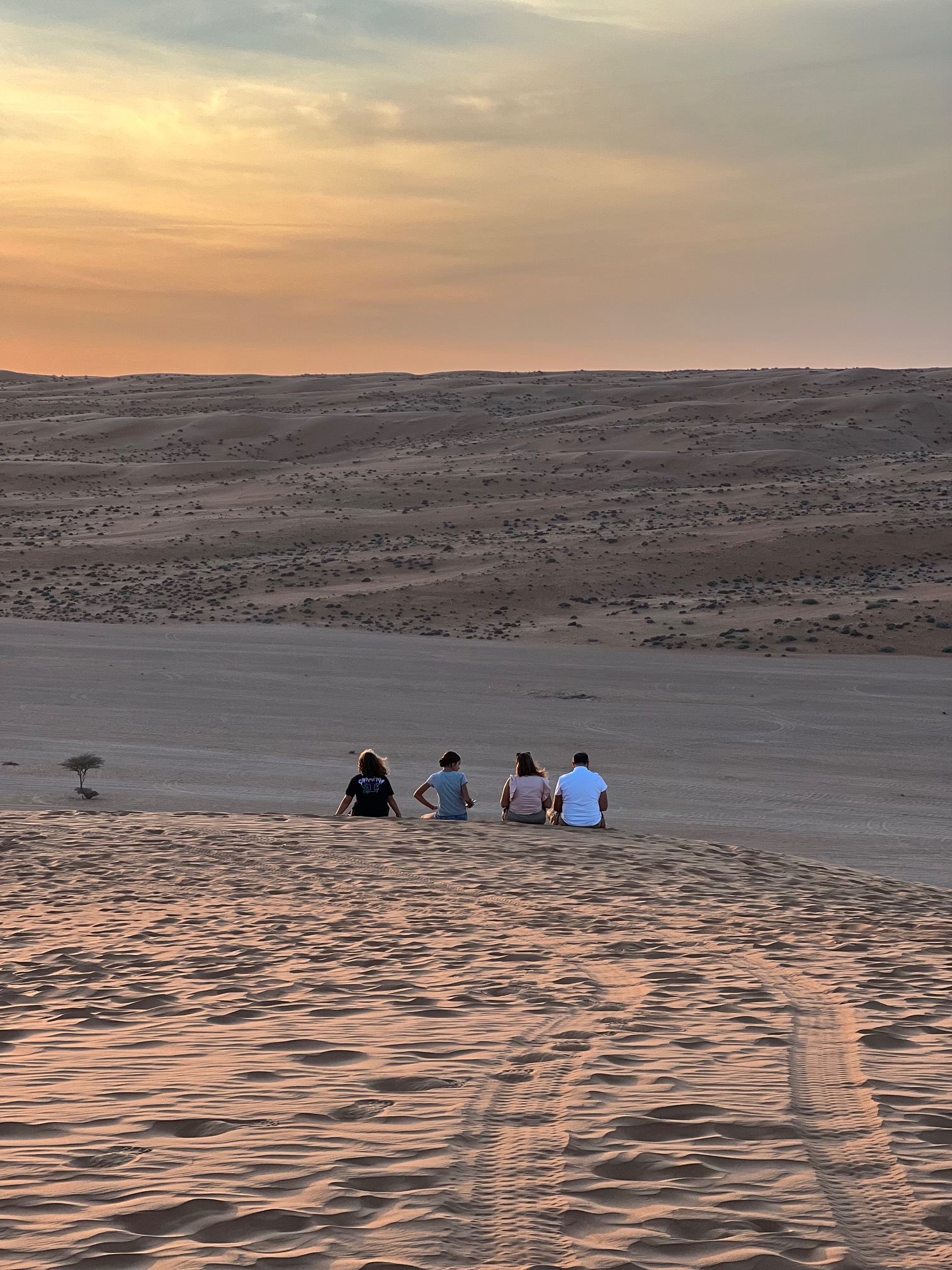 Desert Safari in Bidiyah